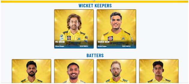 CSK Team Players